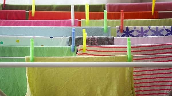 ছবি: উইকিপিডিয়া 