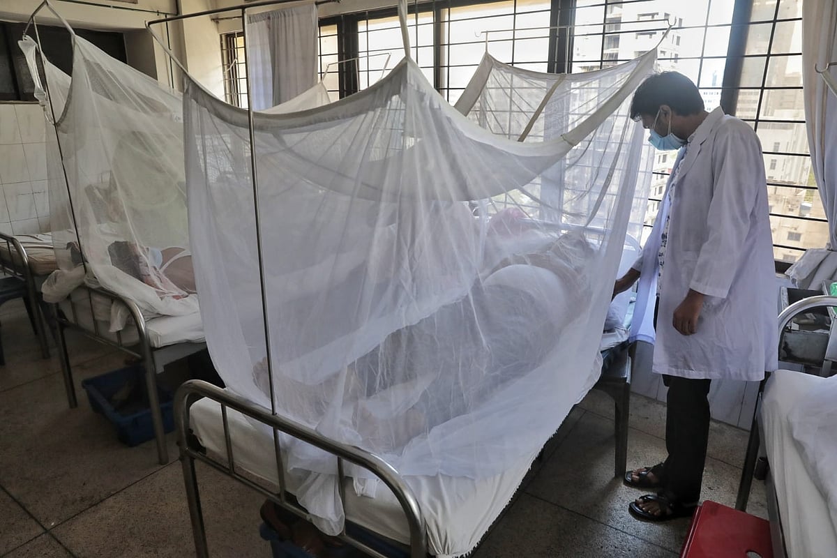 ছবি: দীপু মালাকার 