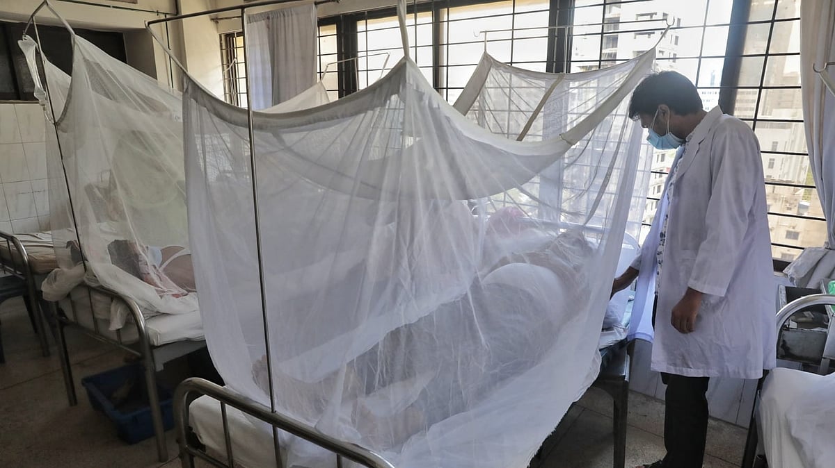 ফাইল ছবি