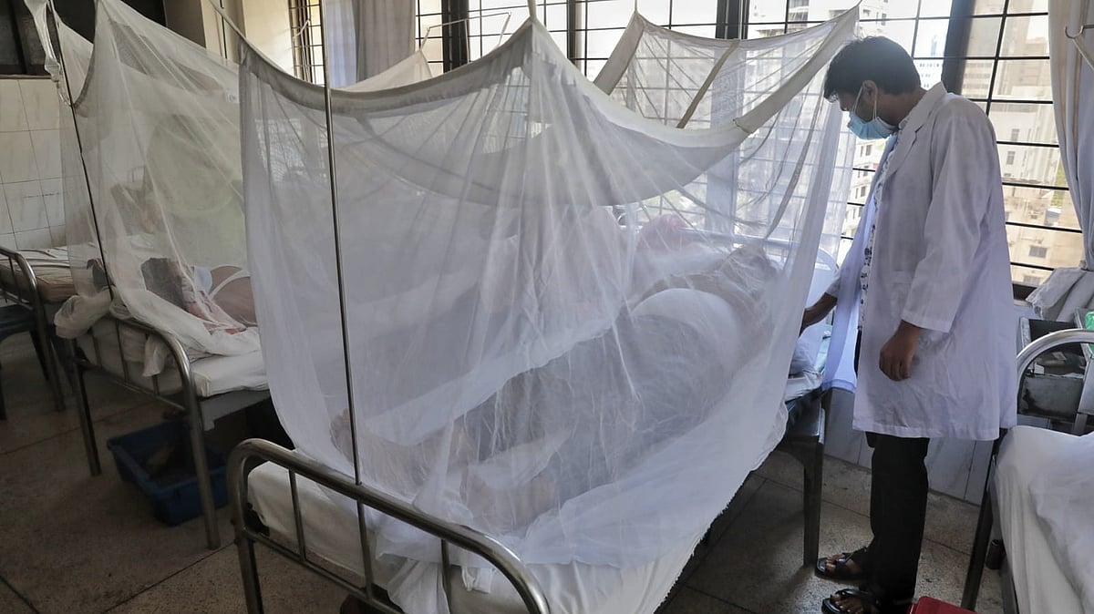 ফাইল ছবি 