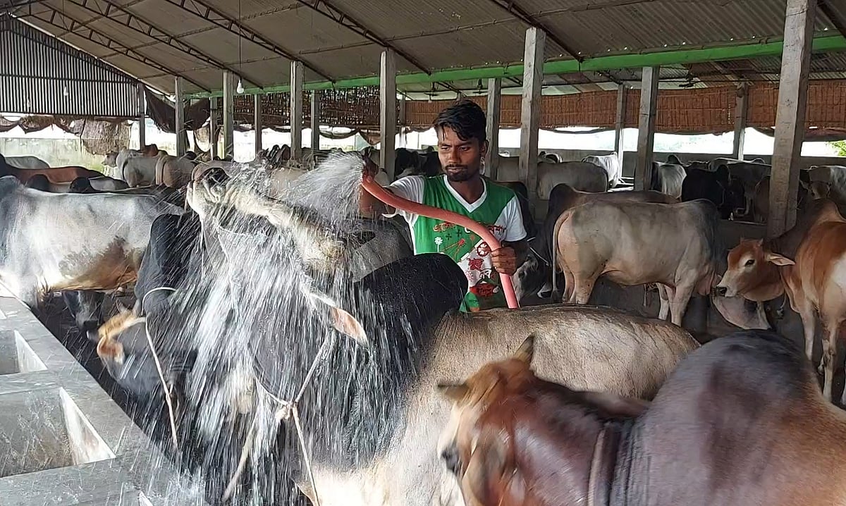  ছবি: মজিবর রহমান খান