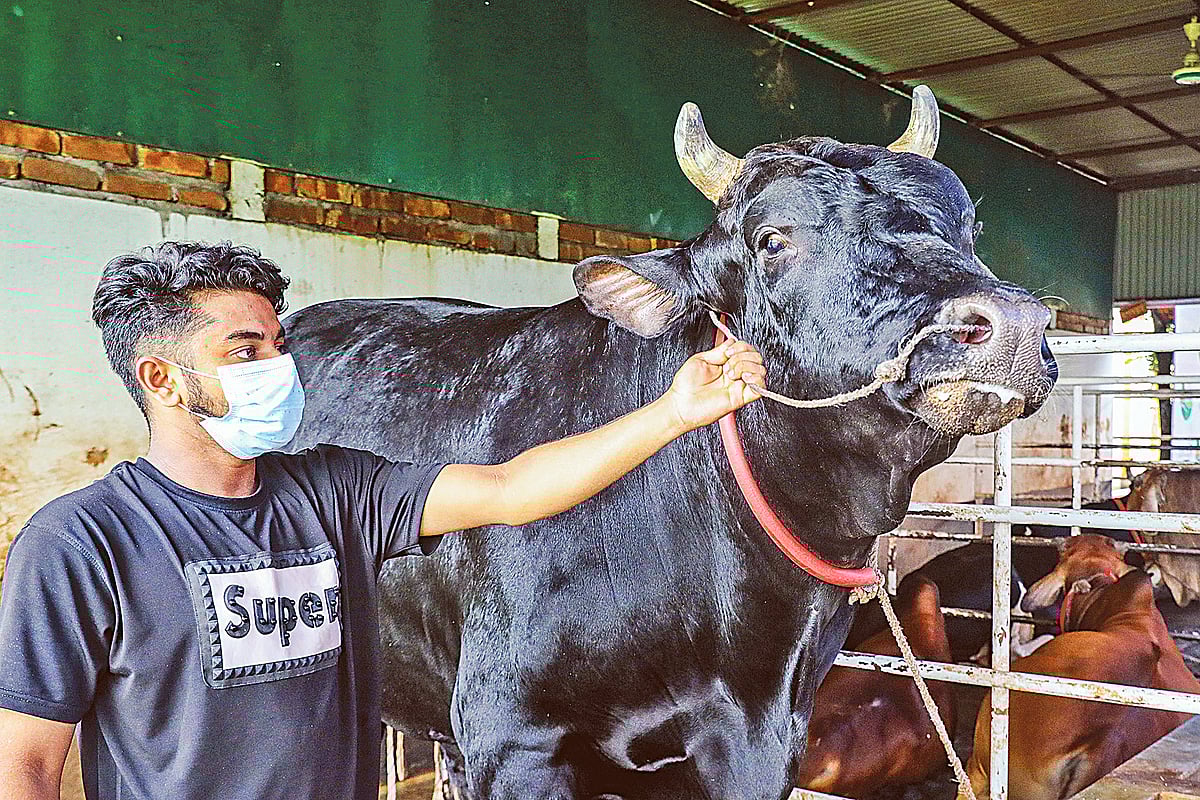 ছবি: সাবিনা ইয়াসমিন