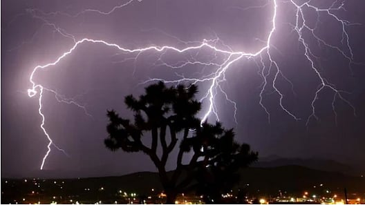 ফাইল ছবি : রয়টার্স 