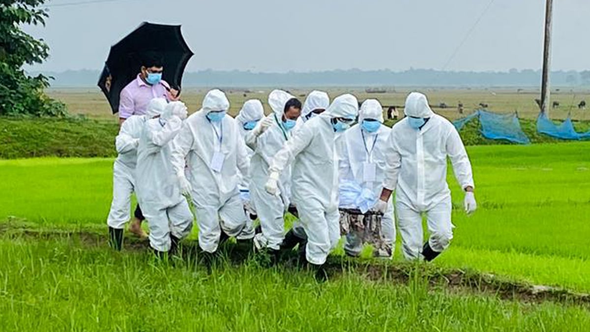 ফাইল ছবি: প্রথম আলো 