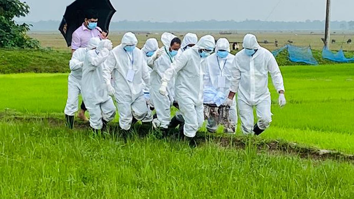 ছবি: প্রথম আলো