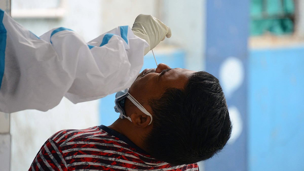 ফাইল ছবি