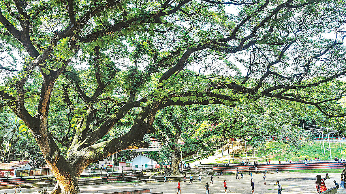 প্রথম আলো