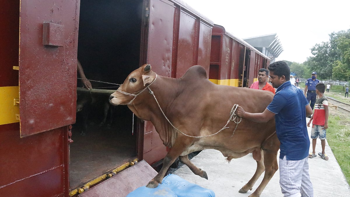 ছবি: প্রথম আলো