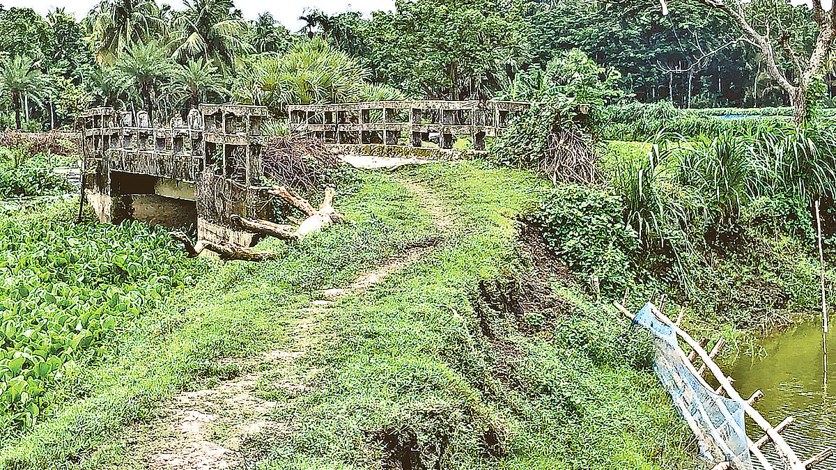 ছবি: প্রথম আলো