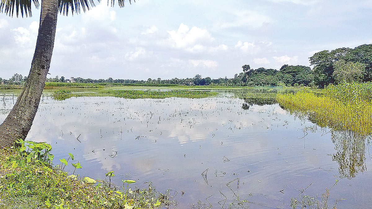 ছবি: প্রথম আলো