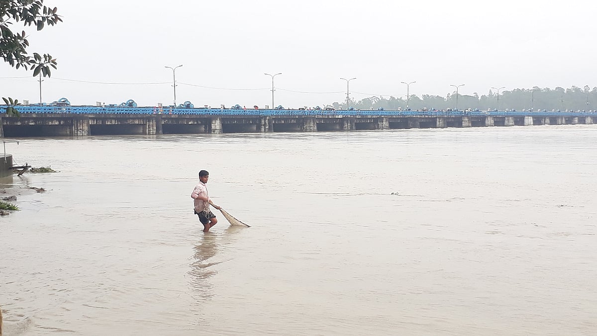 ফাইল ছবি