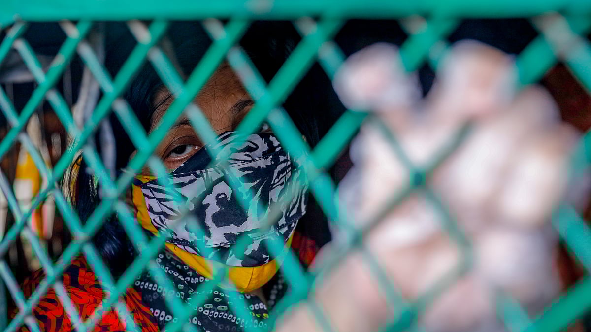 ফাইল ছবি: প্রথম আলো