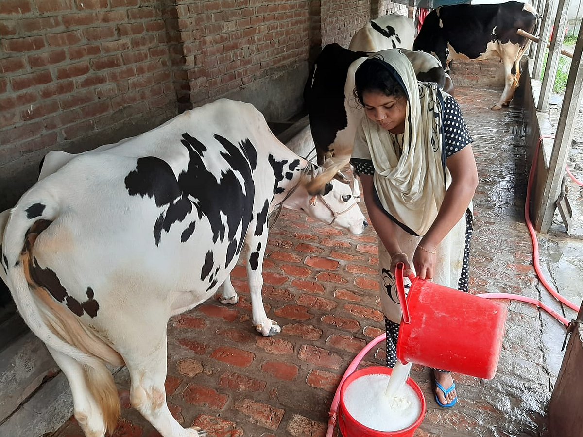 ছবি:  প্রথম আলো