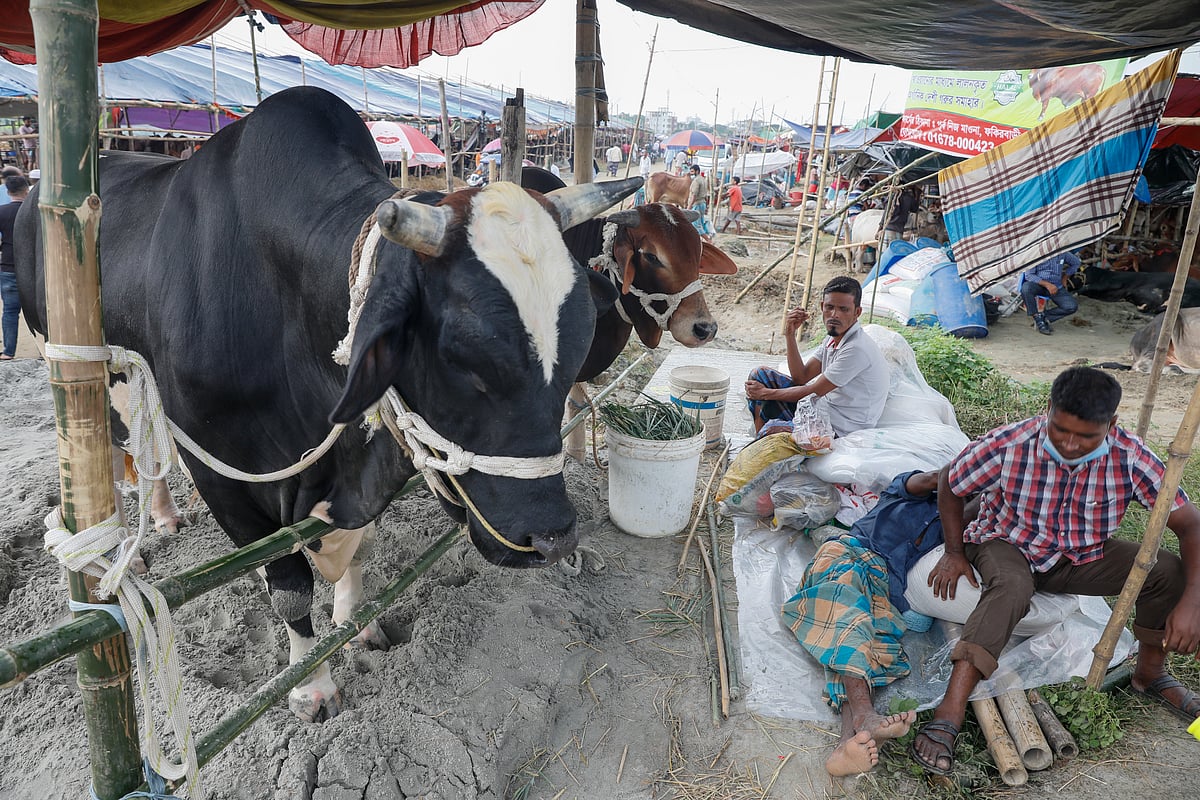  ছবি: আশরাফুল আলম