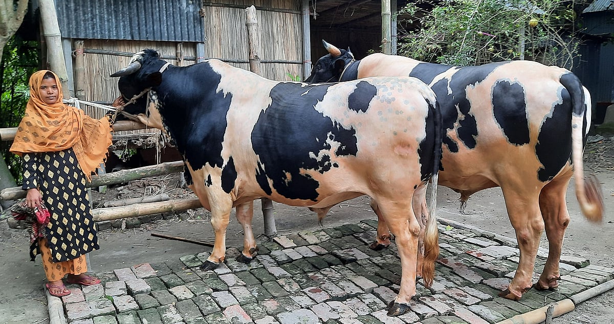 ছবি: প্রথম আলো