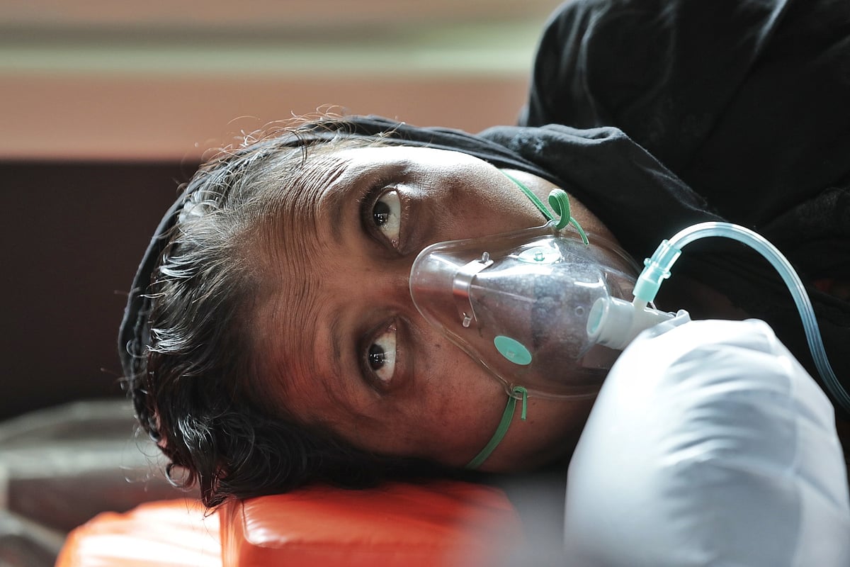 ছবি: দীপু মালাকার