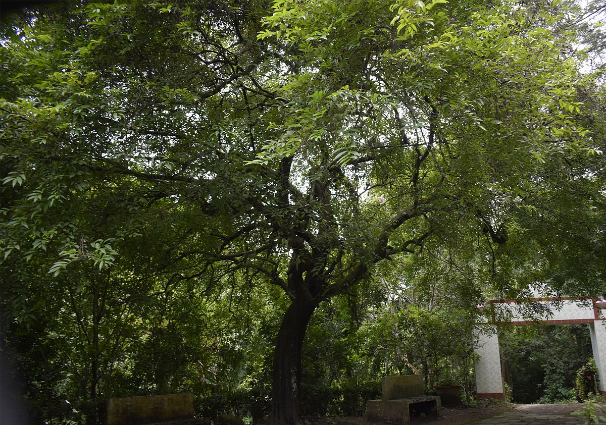 ছবি: প্রথম আলো