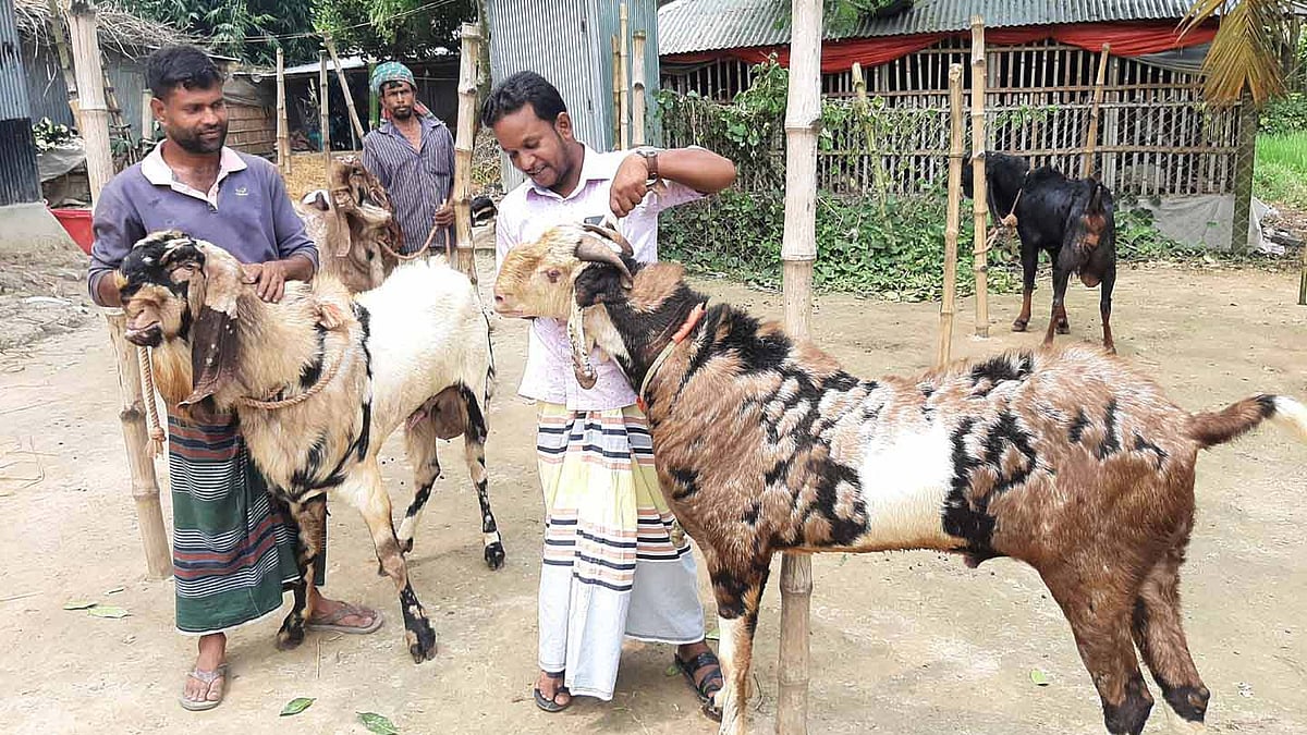 ছবি: প্রথম আলো