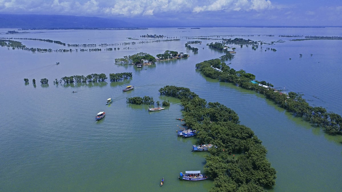 টাঙ্গুয়ার বুকে হিজল, করচসহ বিভিন্ন গাছ। রয়েছে বসতবাড়ি। 