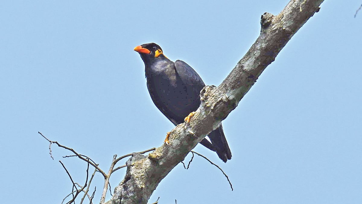 ছবি: আ ন ম আমিনুর রহমান