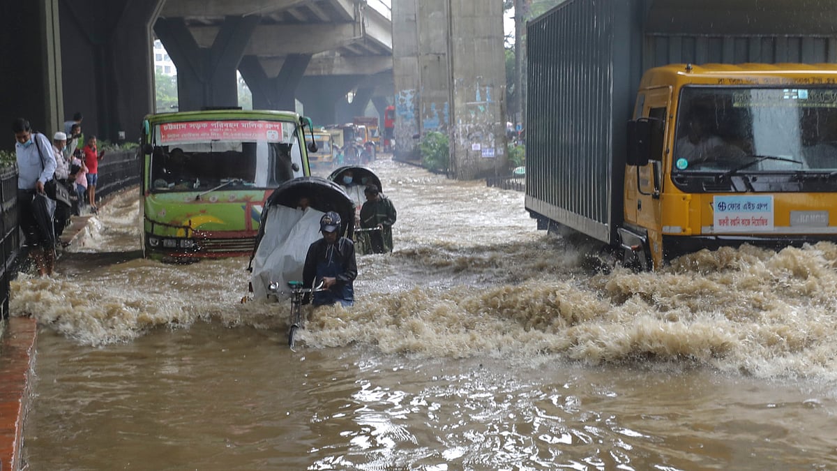 ছবি: সৌরভ দাশ