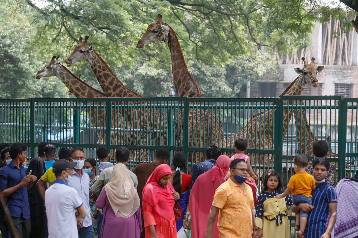 ছবি: প্রথম আলো