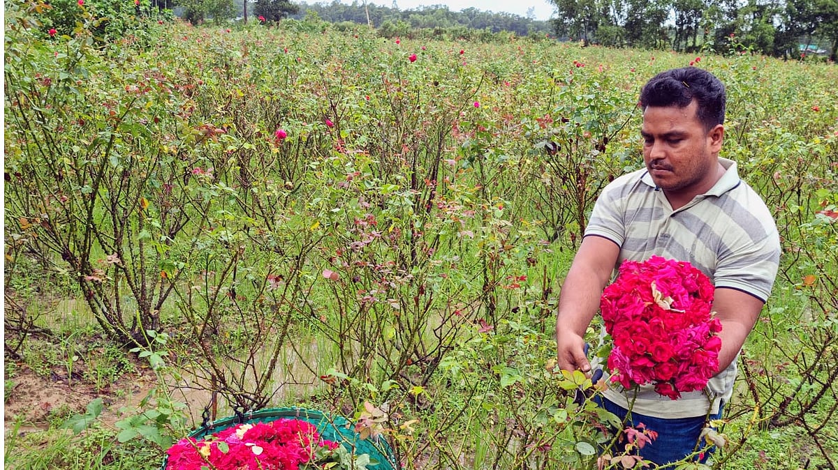 ছবি: প্রথম আলো