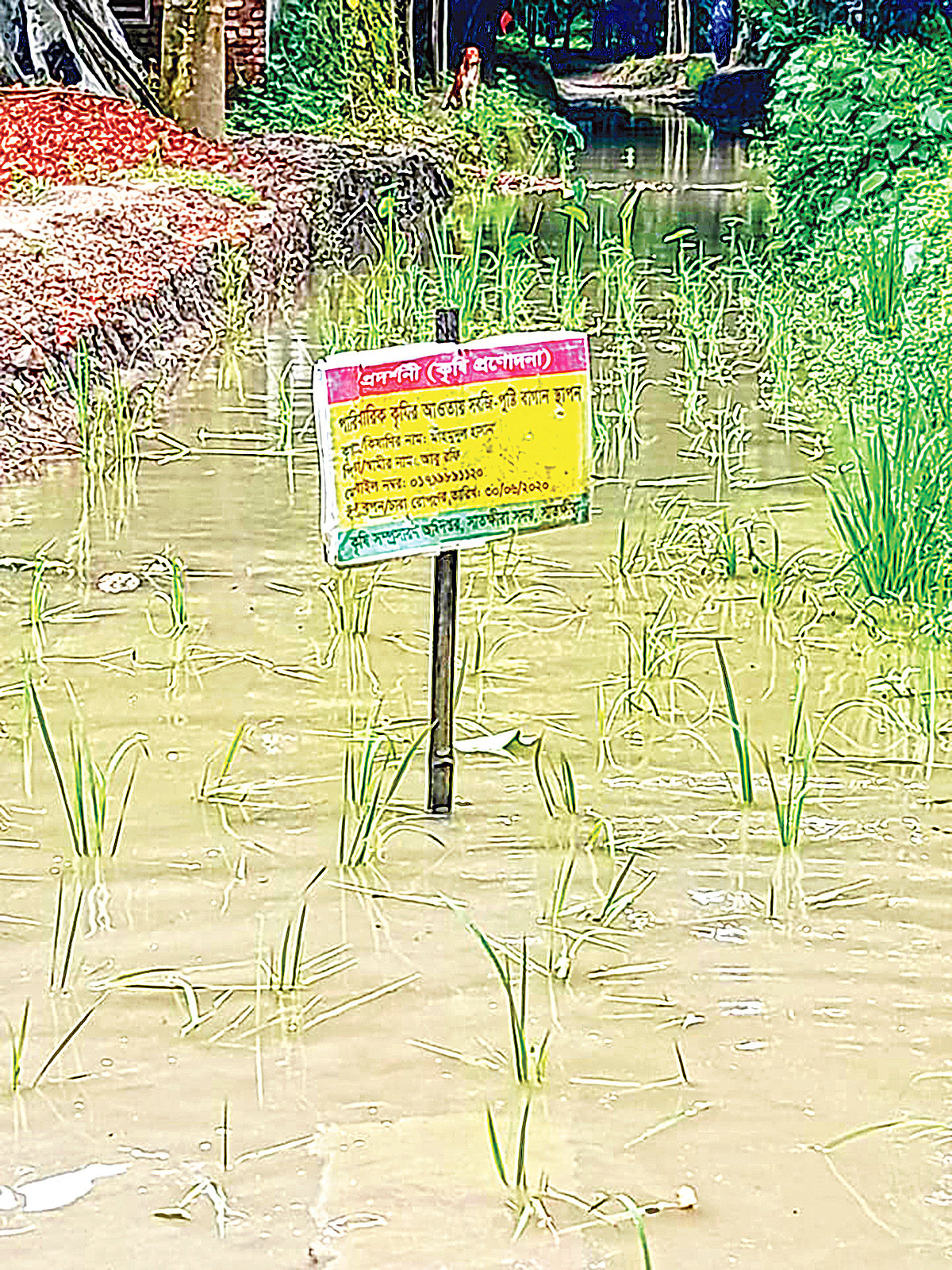  প্রথম আলো 