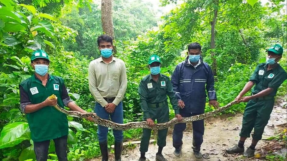 ছবি: প্রথম আলো