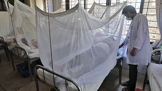 ফাইল ছবি: প্রথম আলো 