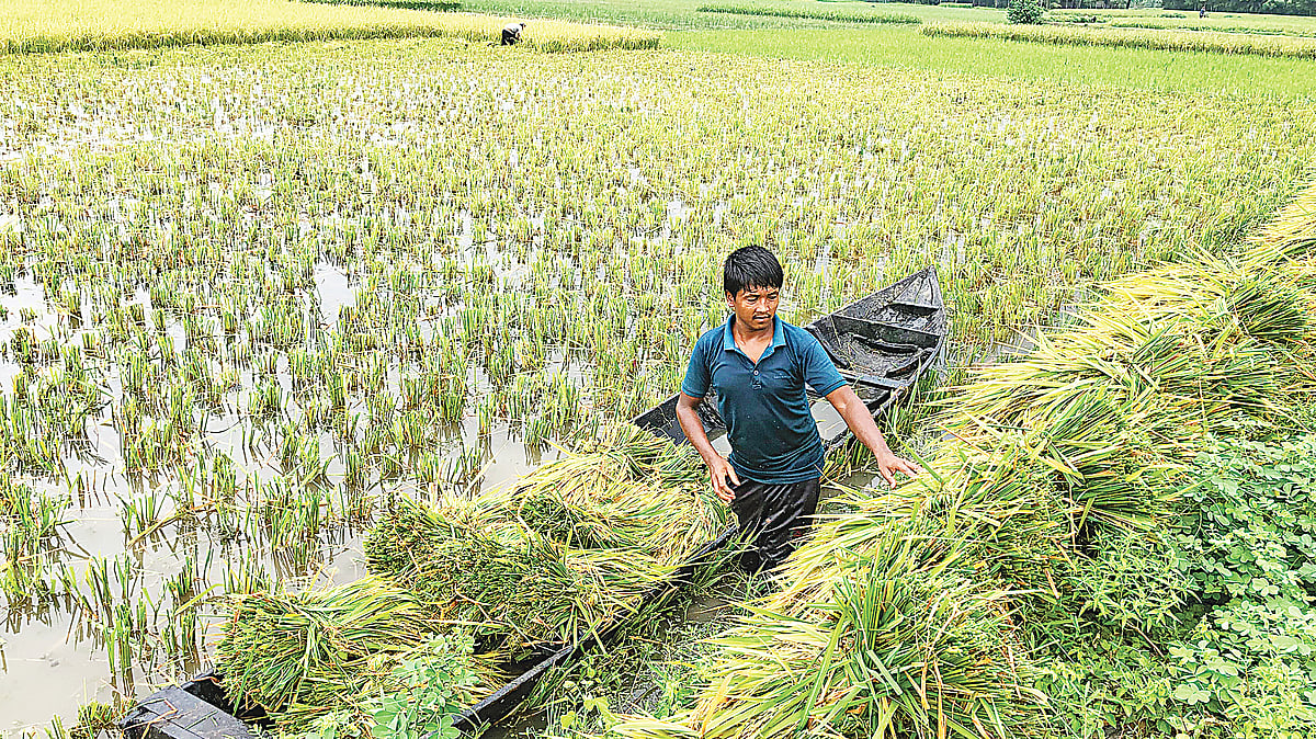ছবি: প্রথম আলো 
