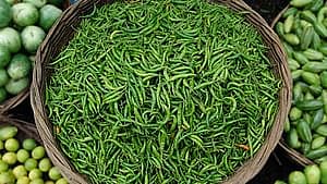 কাঁচা মরিচের ফাইল ছবি: প্রথম আলো