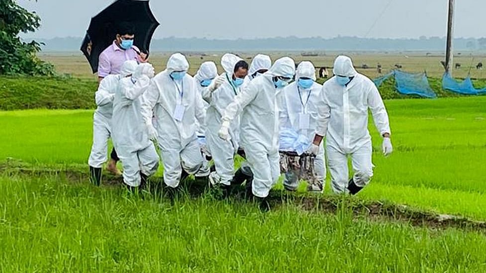 ফাইল ছবি: প্রথম আলো