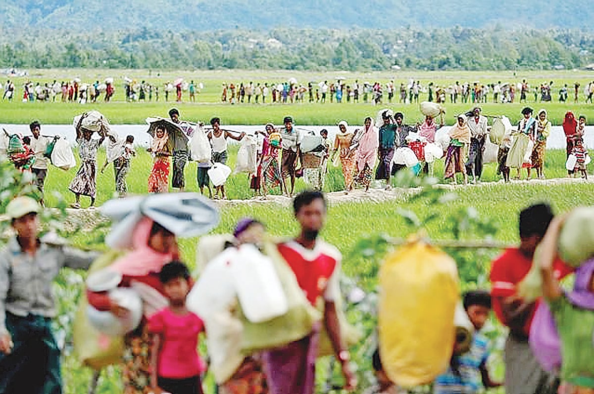 ফাইল ছবি