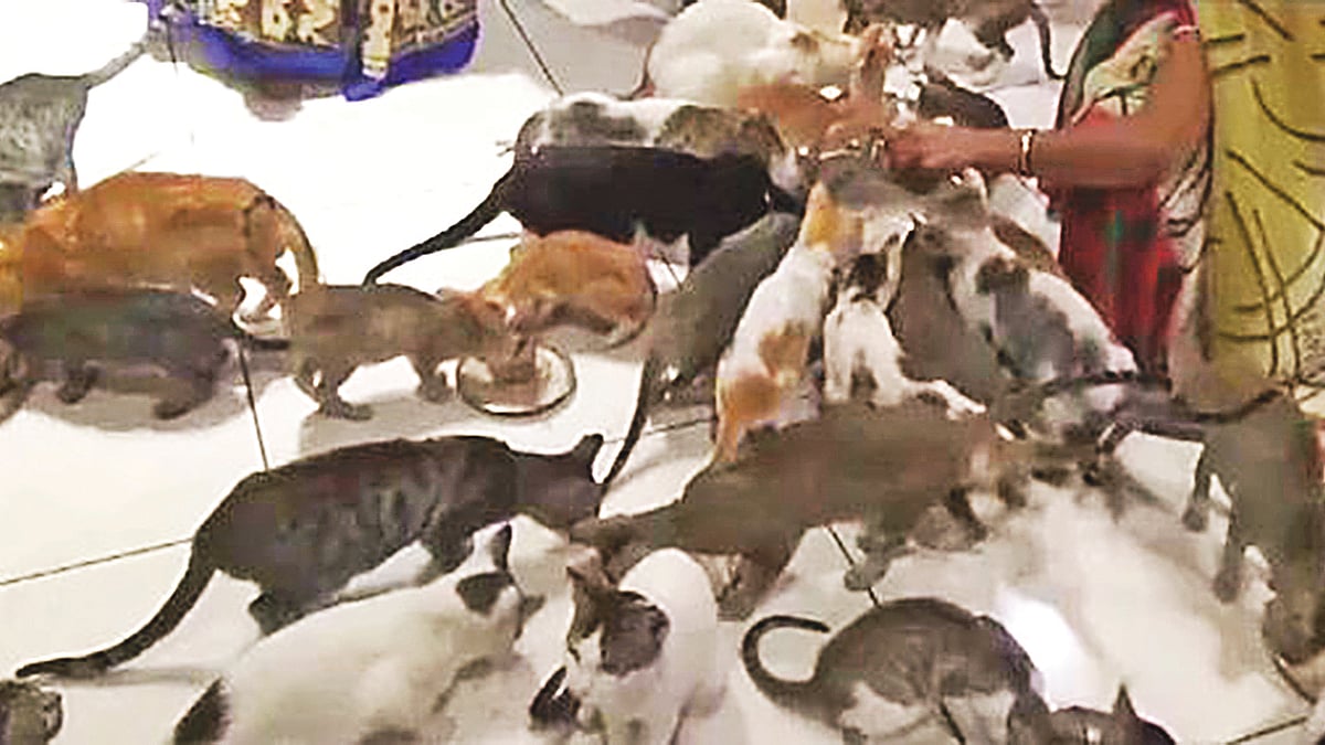 ছবি: এএনআই
