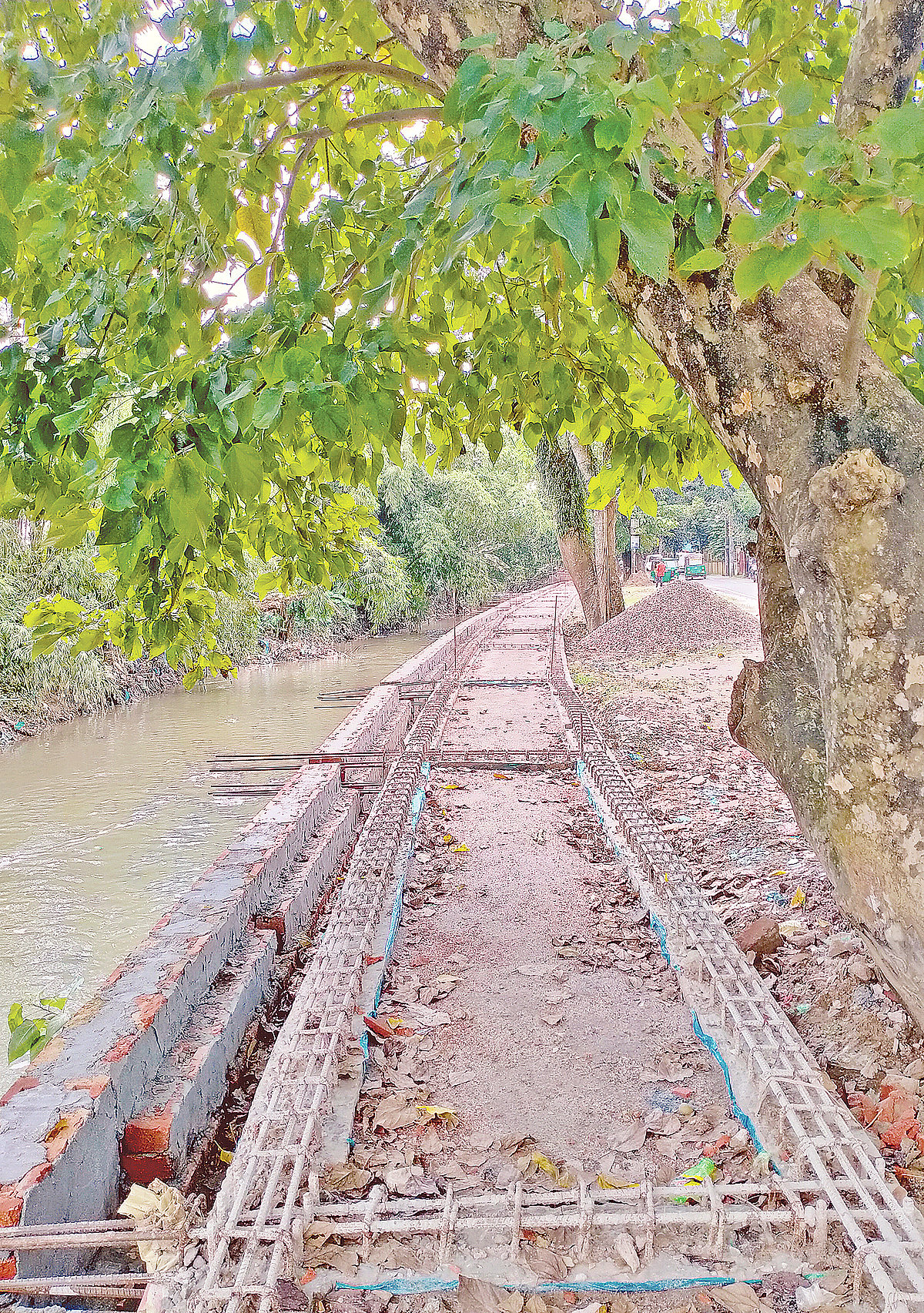 ছবি: প্রথম আলো