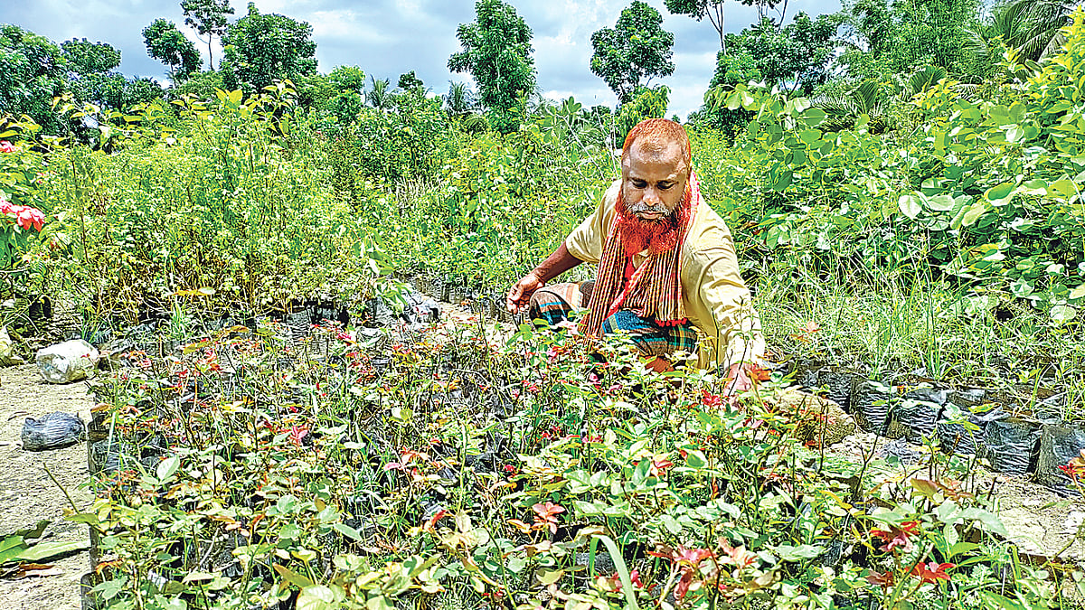 ছবি: এহসান-উদ-দৌলা 