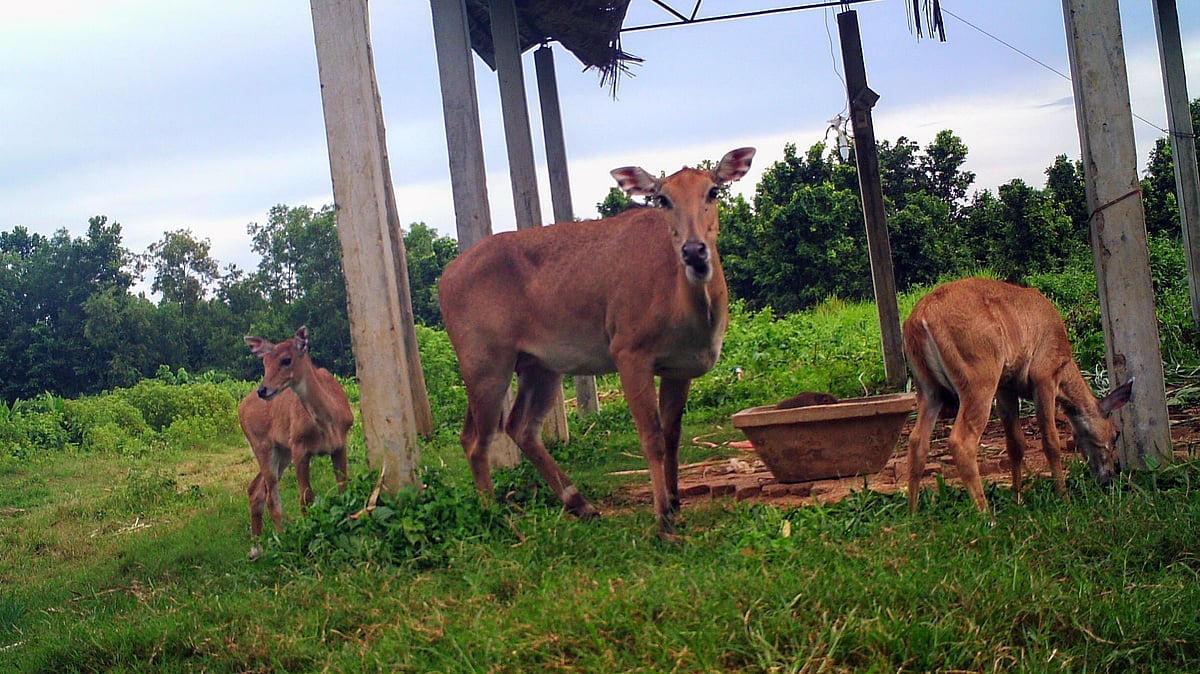 ছবি: প্রথম আলো