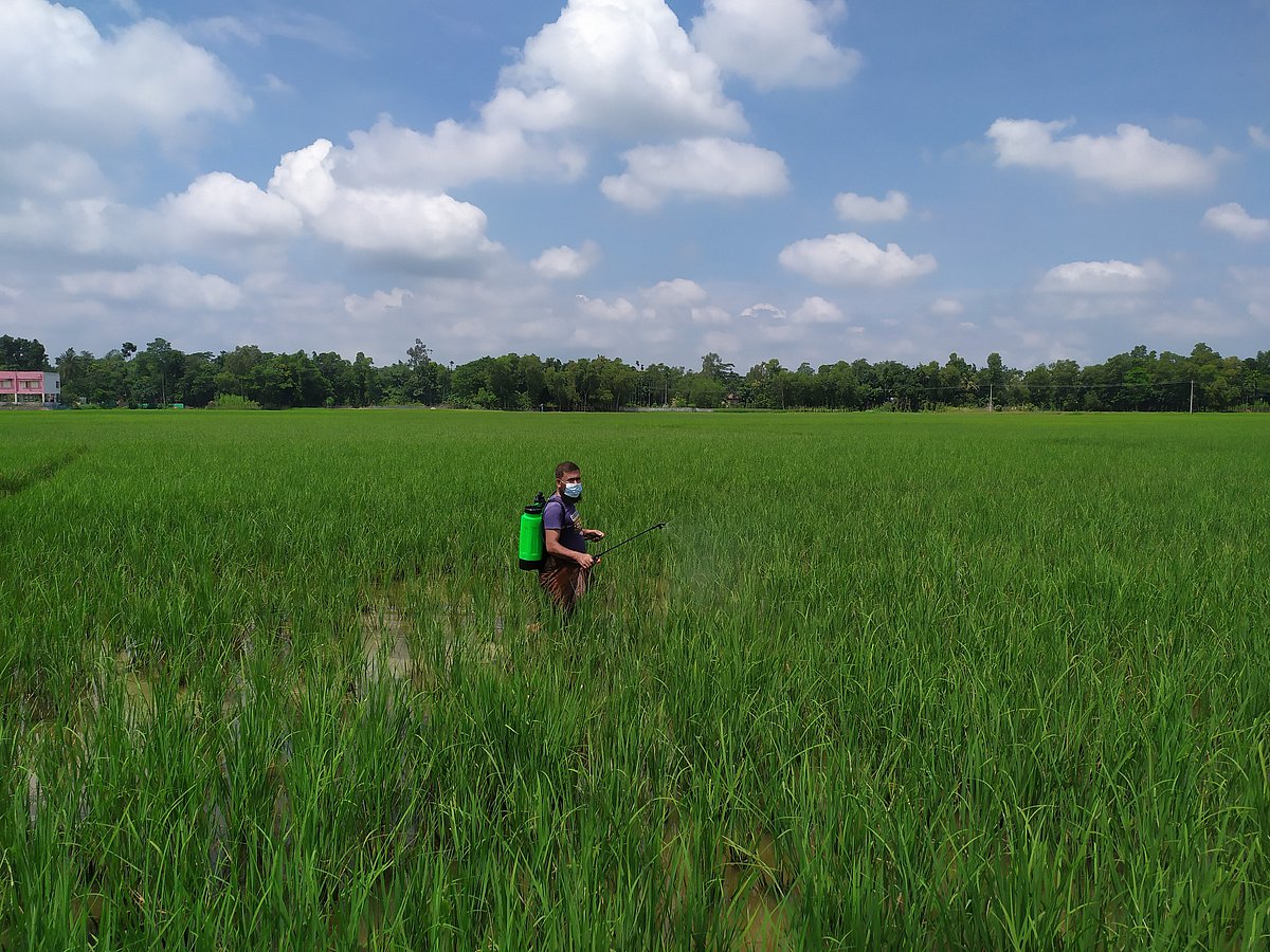প্রথম আলো
