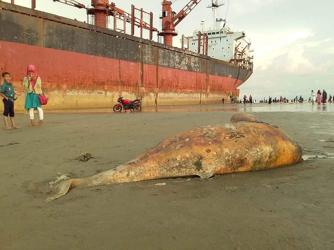 প্রথম আলো