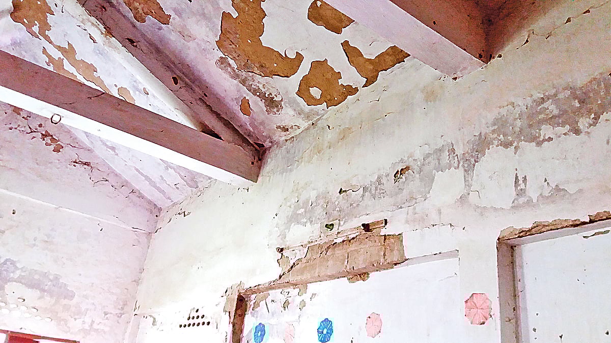 ছবি: প্রথম আলো 