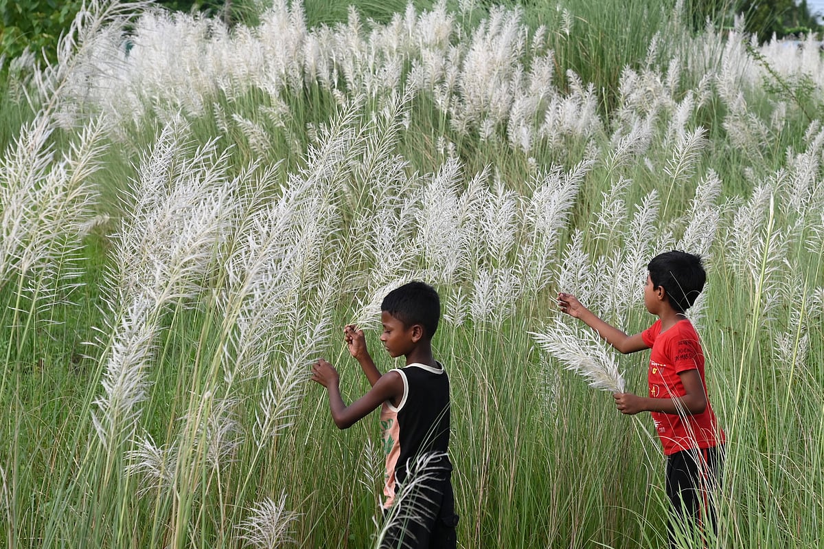 ফাইল ছবি