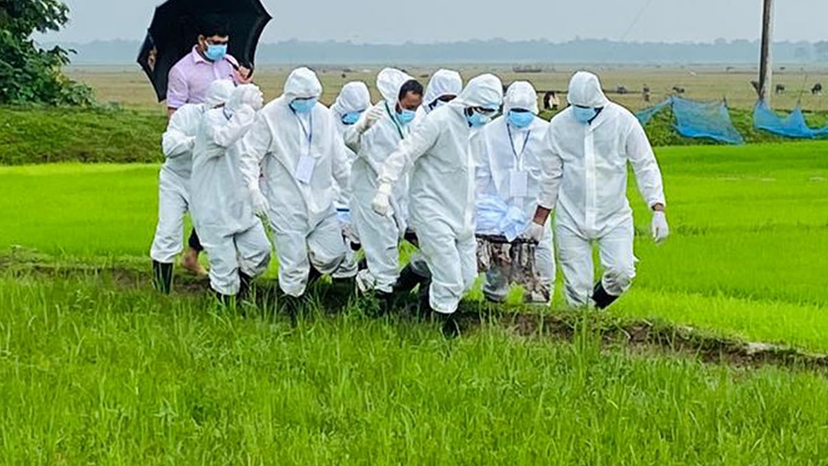 প্রতীকী ছবি