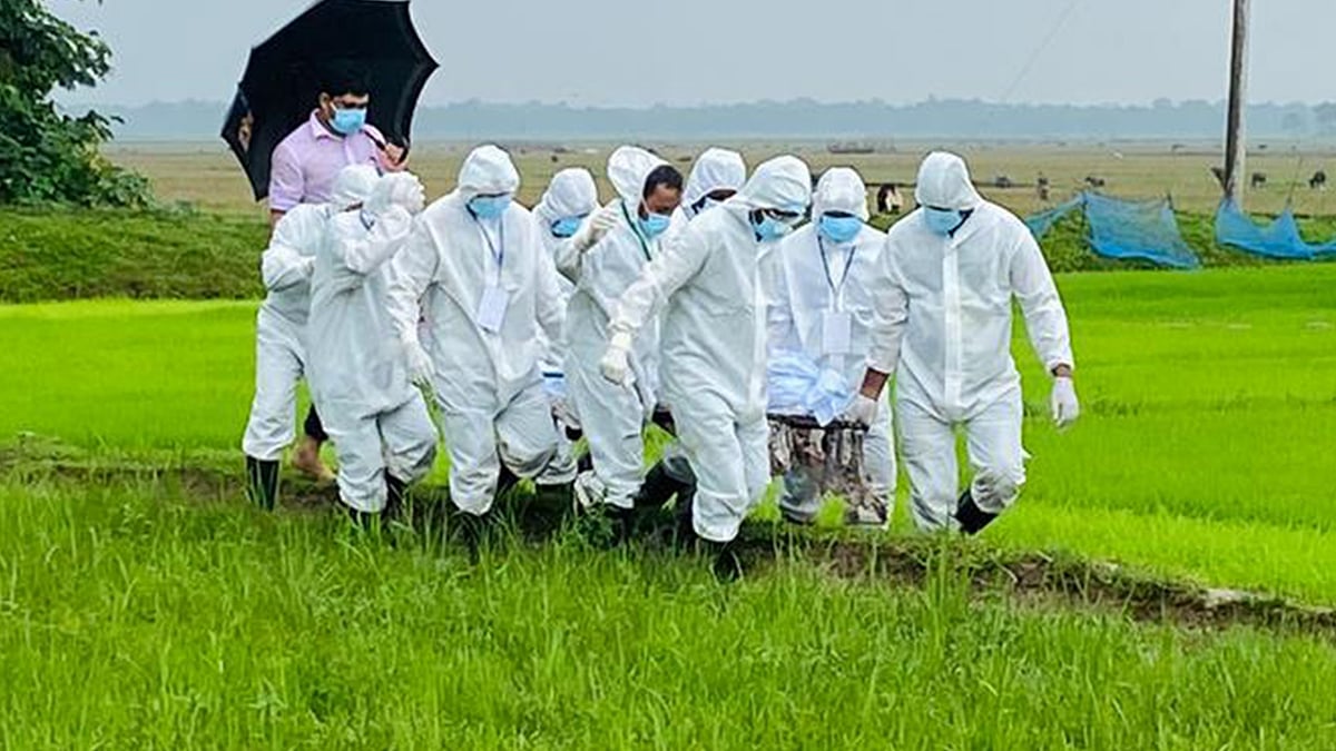 প্রতীকী ছবি