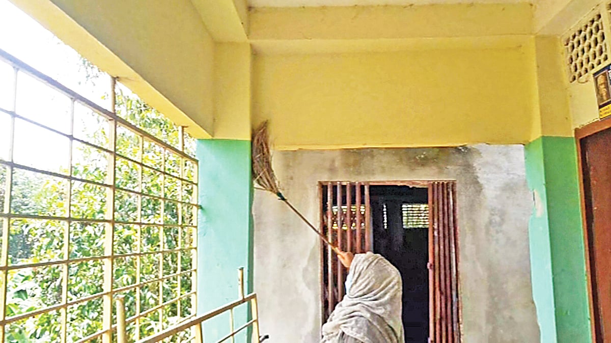 ফাইল ছবি 