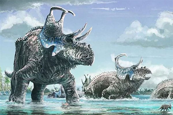 প্রতীকী ছবি: রয়টার্স