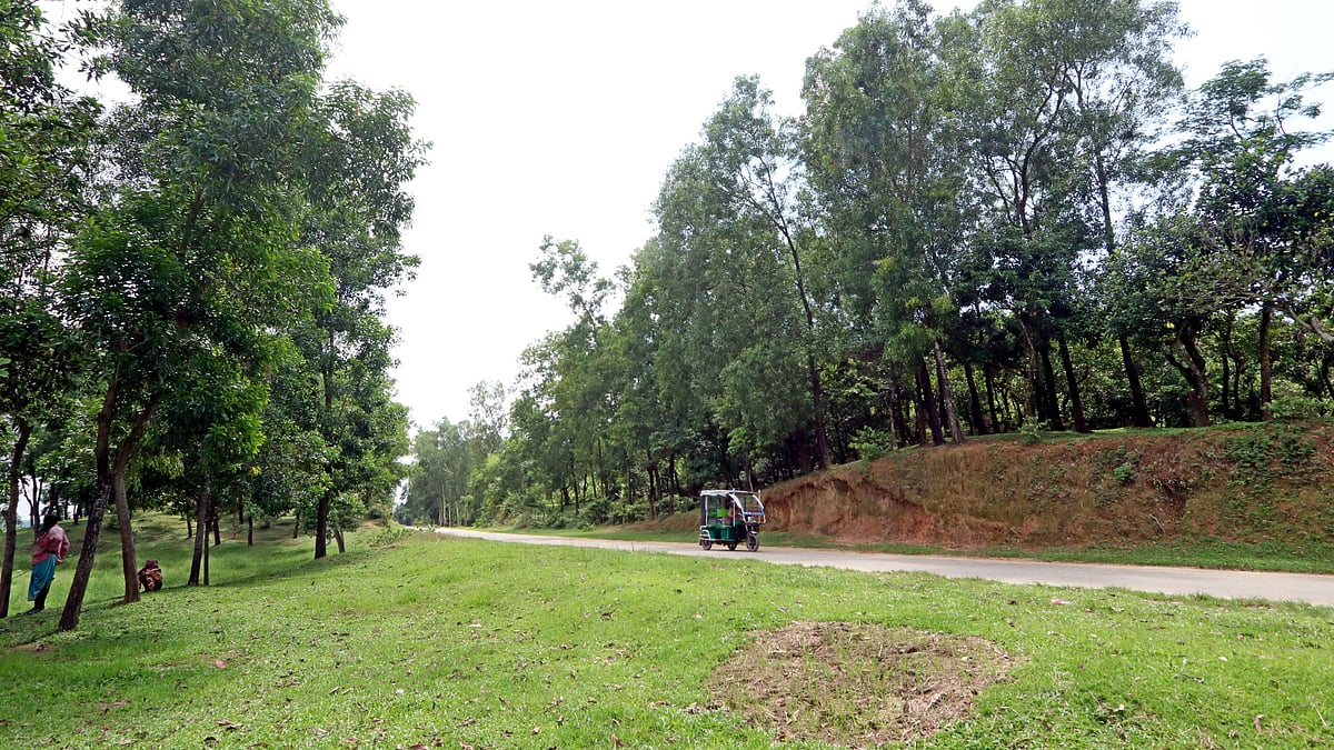 ছবি: আনিস মাহমুদ