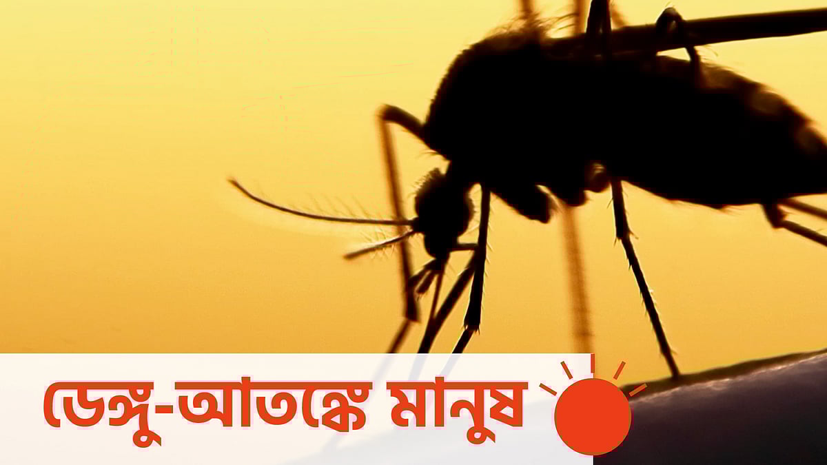 প্রতীকী ছবি