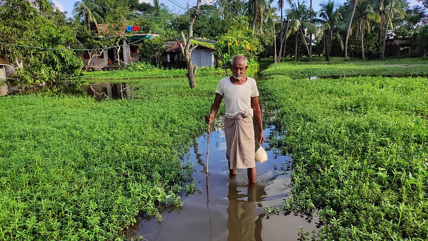  ছবি: প্রথম আলো