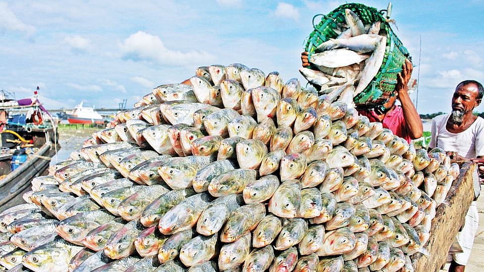 ফাইল ছবি: জুয়েল শীল